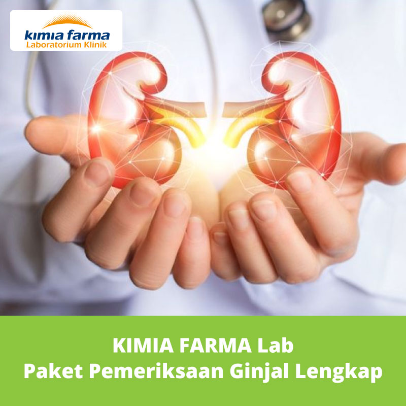 Download 8500 Koleksi Gambar Ginjal Lengkap Terbaru 
